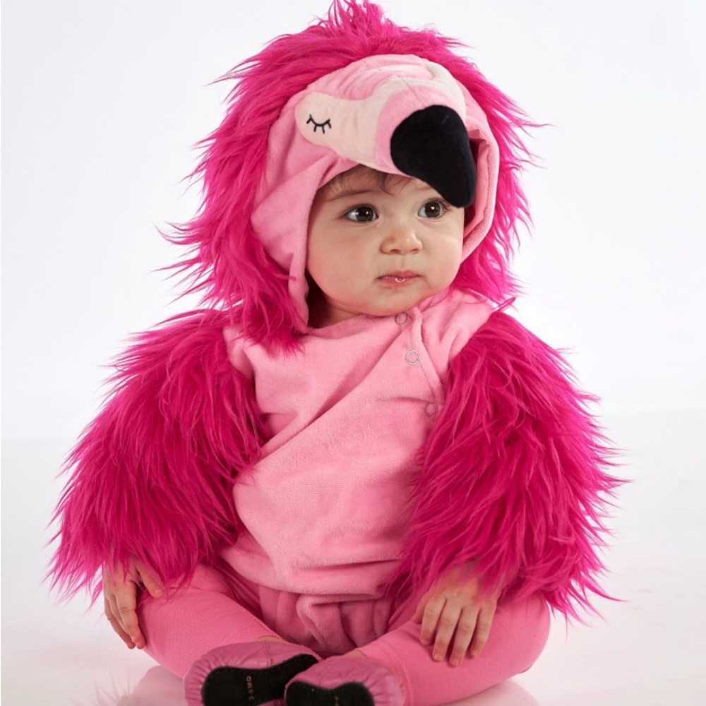 Pink Flamingo Baby Costume